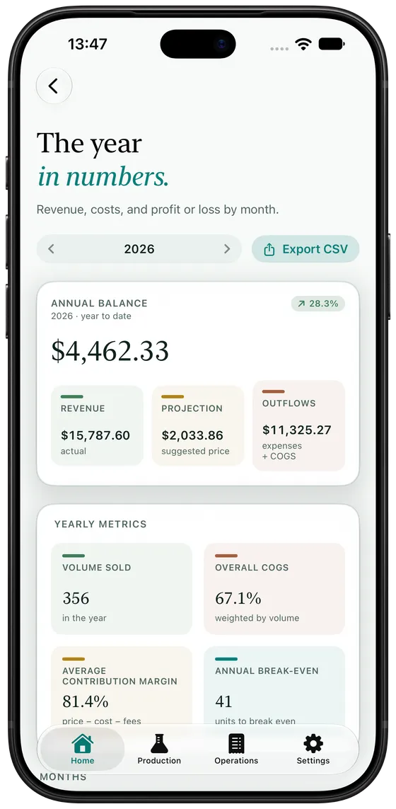 Artisan View overview showing year-to-date balance, revenue, forecast, and expenses