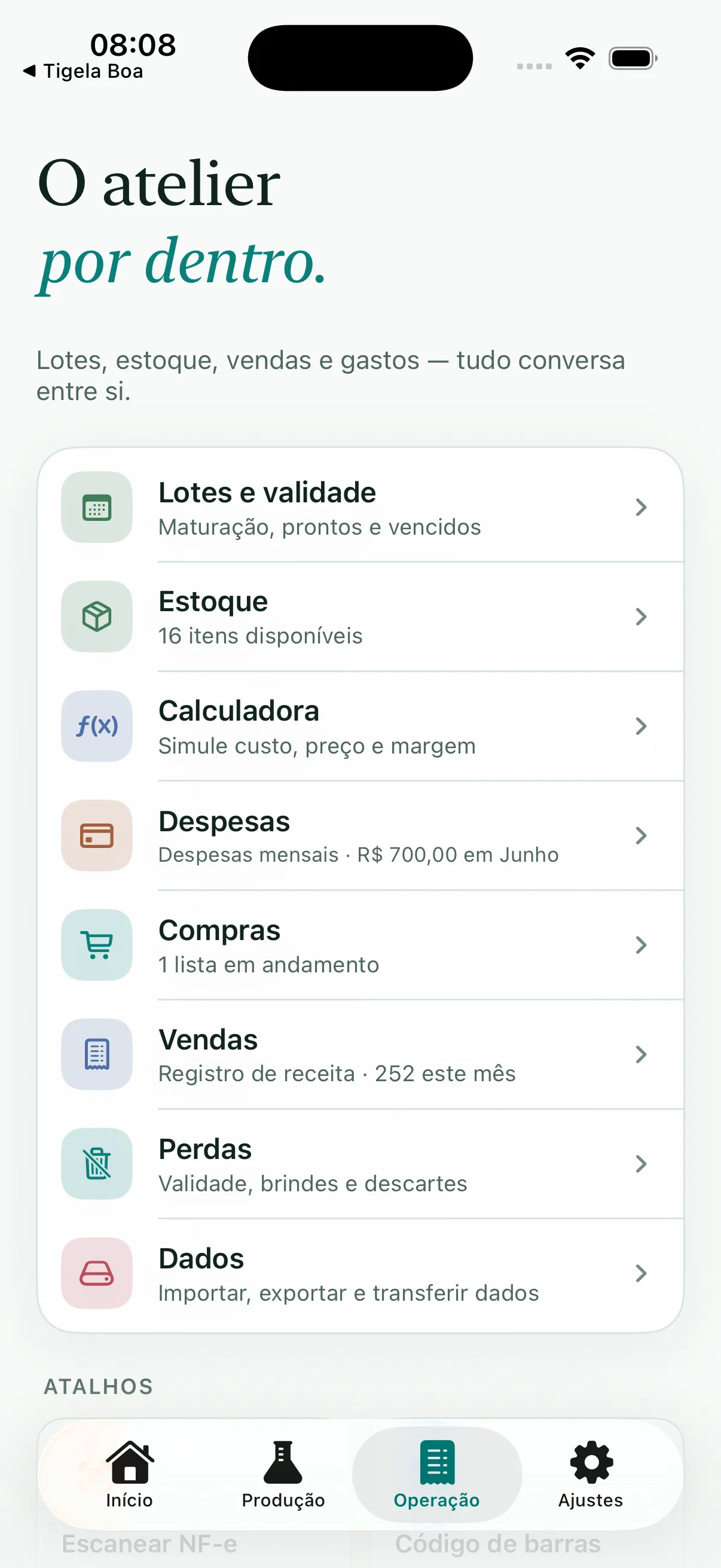 Artisan View: operação com lotes, estoque, vendas e pedidos