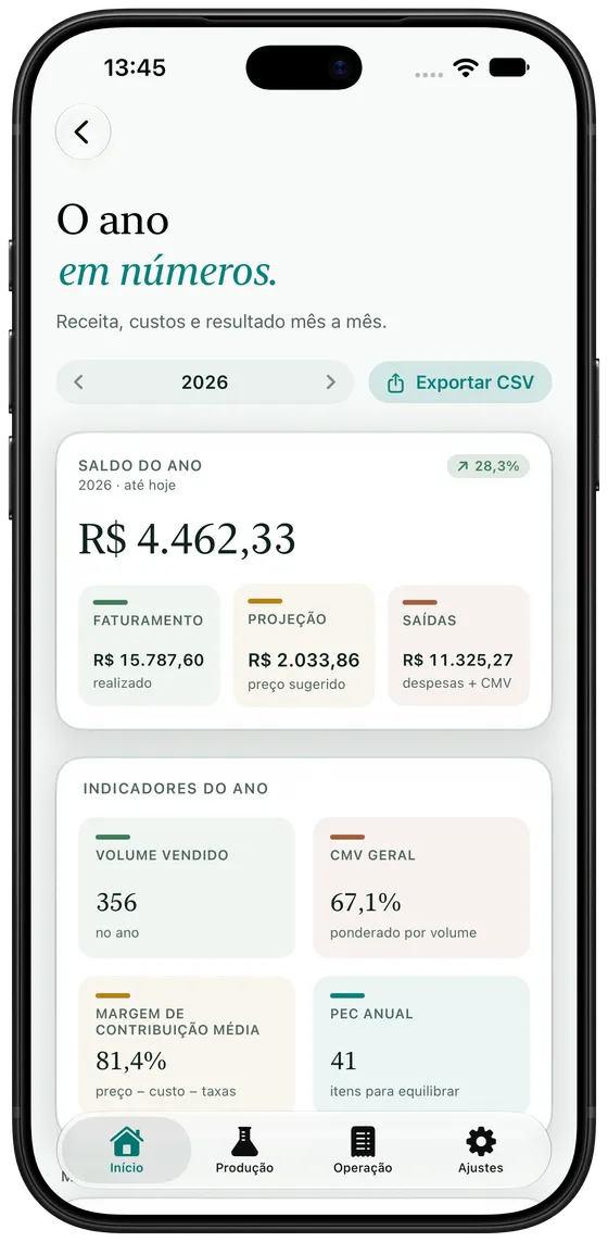 Visão geral do Artisan View, com saldo do ano, faturamento, projeção e saídas