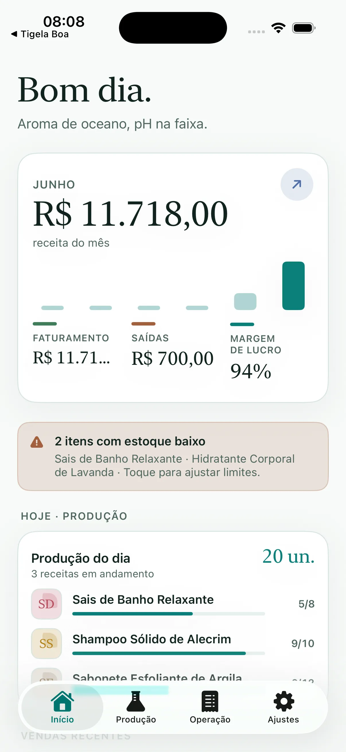Artisan View: visão geral financeira da saboaria